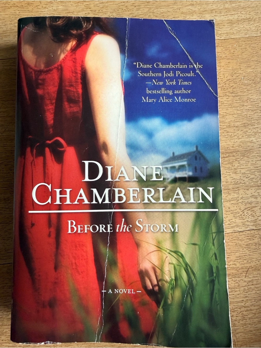📚3 for $12📚Diane Chamberlain "Before the Storm" Paperback - Red Dress Cover